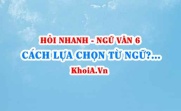 Cách lựa chọn từ ngữ phù hợp khi nói hoặc viết và tác dụng? Ngữ Văn lớp 6